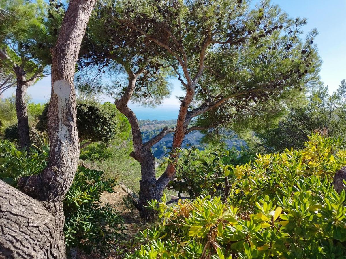 Sweet Calanque - Host Provence Lägenhet Cassis Exteriör bild
